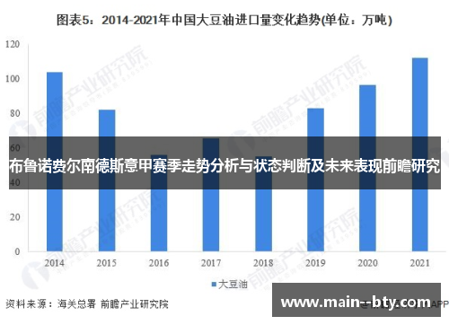 布鲁诺费尔南德斯意甲赛季走势分析与状态判断及未来表现前瞻研究 布鲁诺费尔南德斯意甲赛季走势分析与状态判断及未来表现前瞻研究