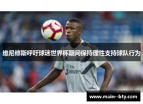 维尼修斯呼吁球迷世界杯期间保持理性支持球队行为